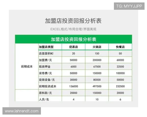 亚星游戏管网的成本控制与投资回报分析报告