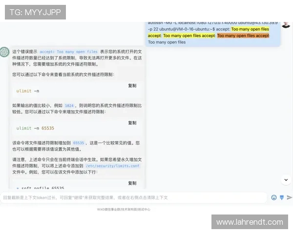 亚星赌网用户体验提升指南：优化登录、充值与提现流程技巧